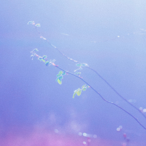 成人做爰抽插视频
